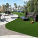Royal Grass